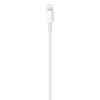 Apple MacBook Pro (13-inch, 2020) USB-C to Lightning Thunderbolt 3 Charge and Data Sync Cable 1M White