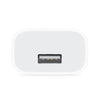 Apple iPhone 5W Mobile Charger With Lightning To Usb Charge and Data Sync Lightning Cable 1M White