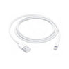 Apple iPhone 5W Lightning To Usb Cable (Only Cable)