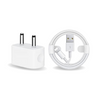 Apple iPhone Xs Mobile Charger With Lightning To Usb Charge and Data Sync Lightning Cable 1M White