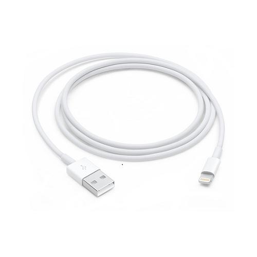 Apple iPhone 5S Lightning To Usb Charge and Data Sync Lightning Cable 1M White-chargingcable.in